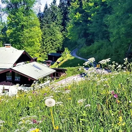 Lejlighed 5 Bergpanorama Und Herrliche Alpinen Almlandschaft Fuer Absolute Nichtraucher Schönau am Königssee