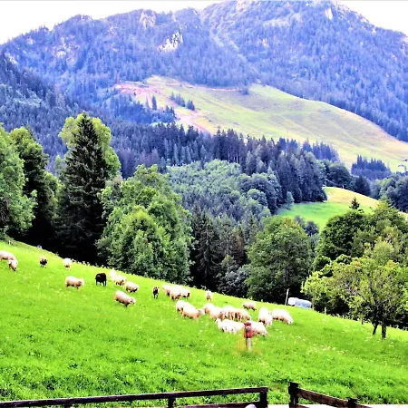 5 Bergpanorama Und Herrliche Alpinen Almlandschaft Fuer Absolute Nichtraucher Schönau am Königssee