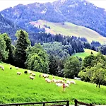 5 Bergpanorama Und Herrliche Alpinen Almlandschaft Für Absolute Nichtraucher Schönau am Königssee