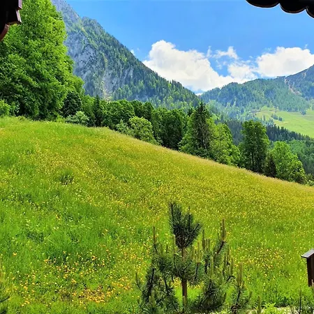 Lägenhet 5 Bergpanorama Und Herrliche Alpinen Almlandschaft Fuer Absolute Nichtraucher